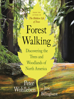 Forest Walking - Audiobook